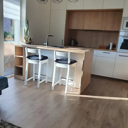 Apartment With Terrace Vilnius