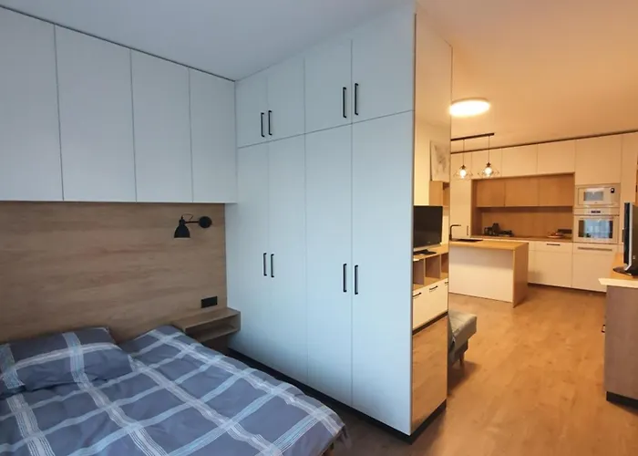 With Terrace 빌뉴스